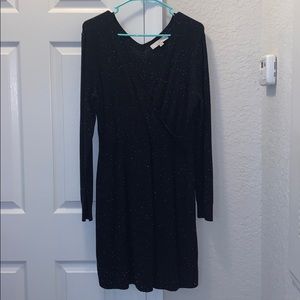 Loft Sweater Dress